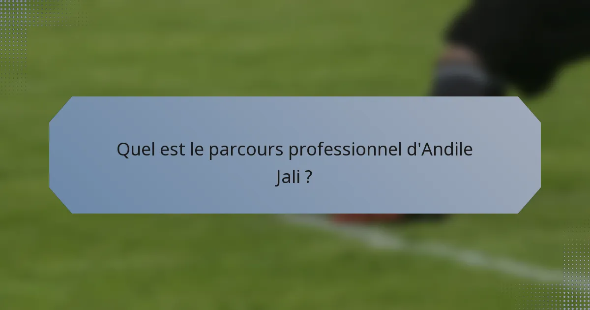 Quel est le parcours professionnel d'Andile Jali ?