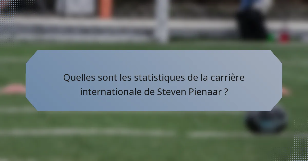 Quelles sont les statistiques de la carrière internationale de Steven Pienaar ?